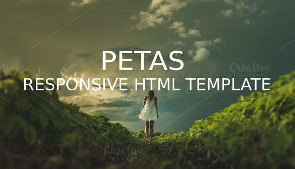 Petas 自适应多用途 HTML5网站模板-爱极客